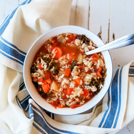 Instant Pot Alphabet Soup