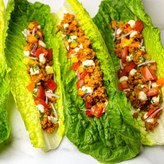 Raw Walnut Meat Tacos