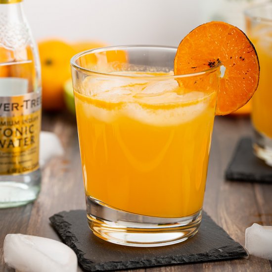 Burnt Mandarin Orange Gin and Tonic