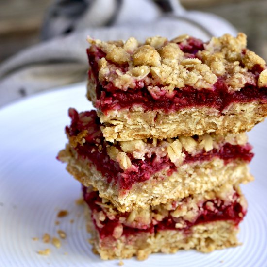 Raspberry Fruit Bars