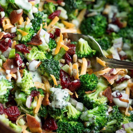 Broccoli Salad with Cranberries