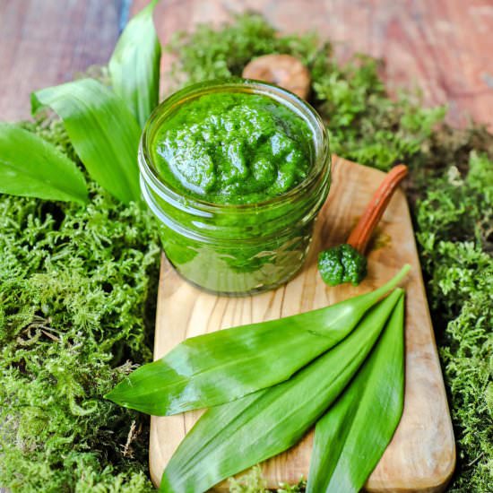 Wild Garlic Pesto