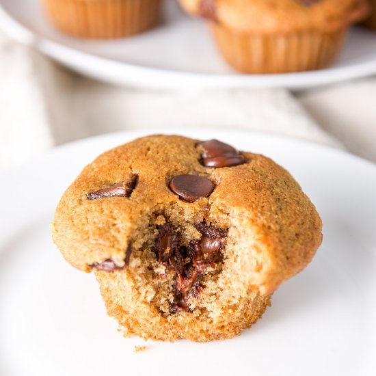 Chocolate Chip Muffins