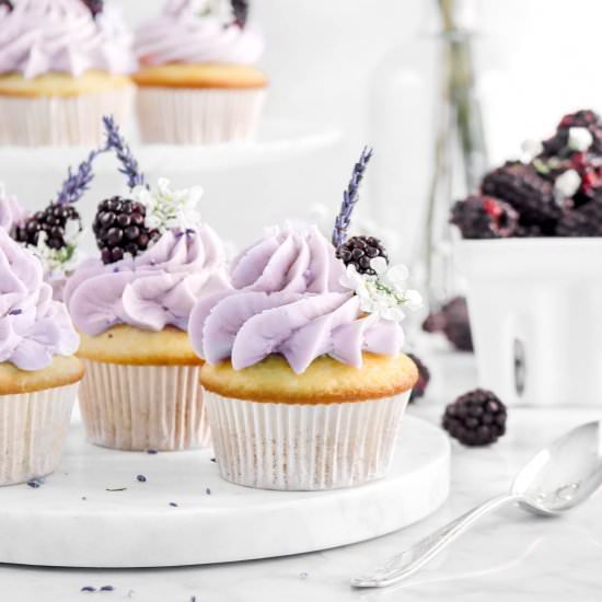 Blackberry Lavender Cupcakes