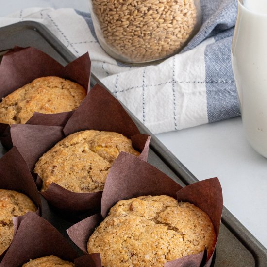 Sprouted Grain Muffins