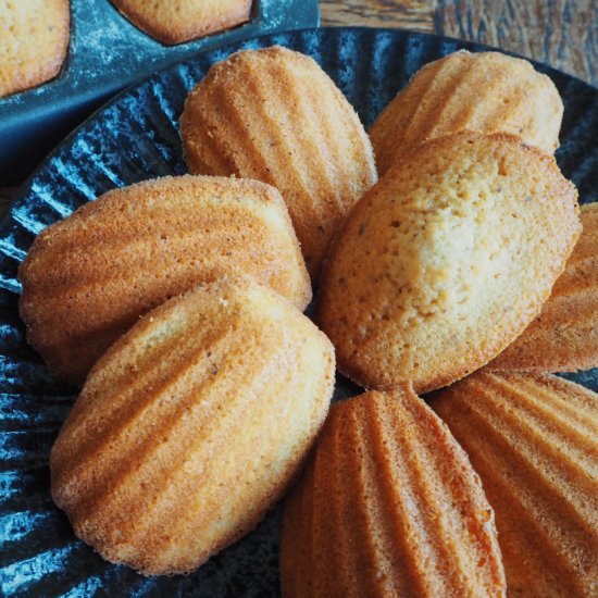 Hazelnut maple madeleines