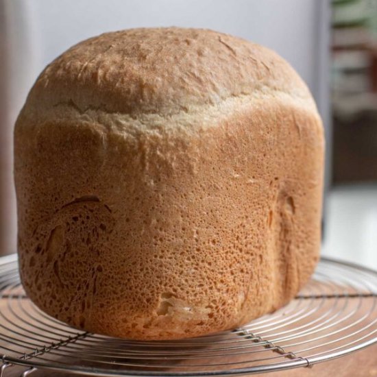 Bread Machine Bread