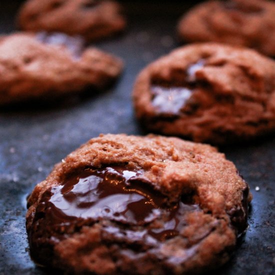 Paleo Coconut Flour Ginger Cookies