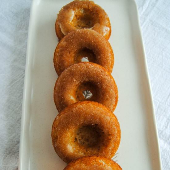 Cinnamon Sugar Baked Donuts