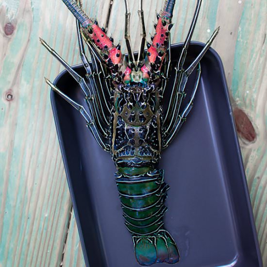 How to cook warm water Lobster