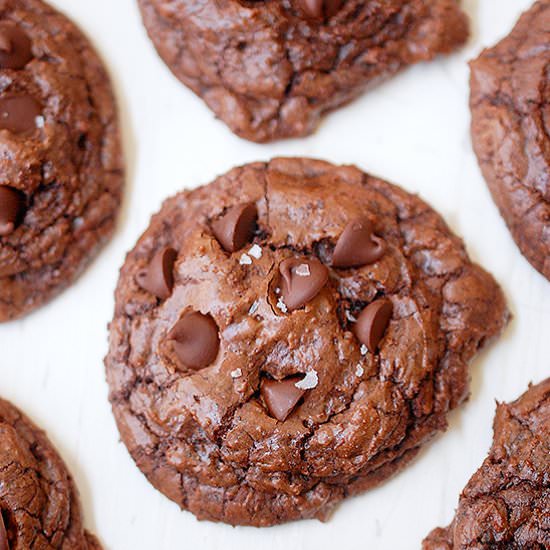 Double chocolate fudge cookies