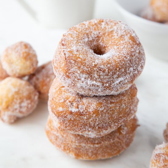 Biscuit Donuts