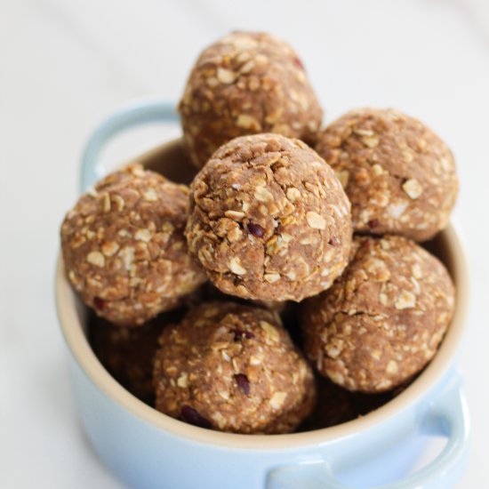 OATMEAL COOKIE PROTEIN BALLS