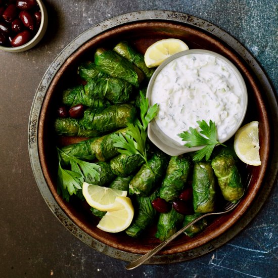 Swiss Chard Quinoa Dolmas