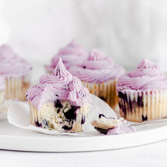 Blueberry Cupcakes