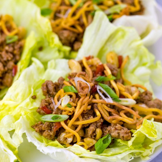 Turkey Lettuce Wraps