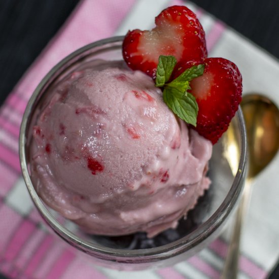 strawberry rhubarb “ice cream”