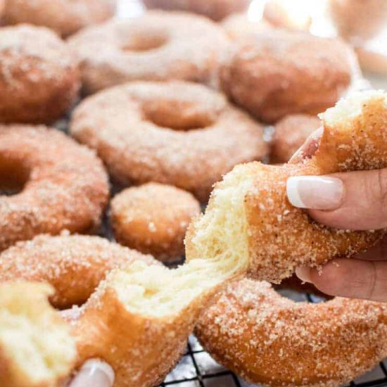 The Best Buttermilk Donuts