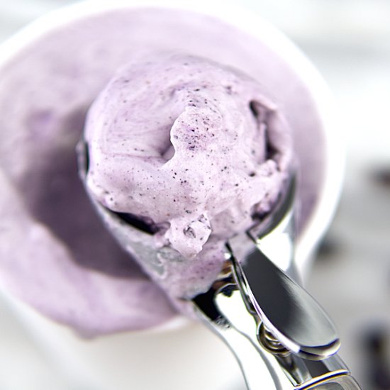 Homemade Blueberry Ice Cream