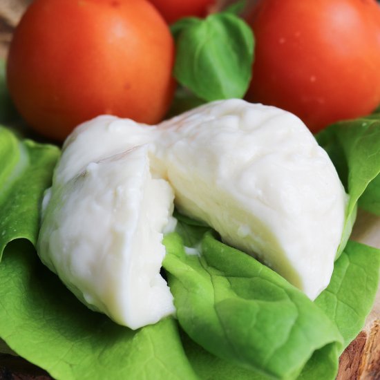 Vegan Buffalo Mozzarella