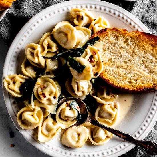 easy tortellini in white wine cream