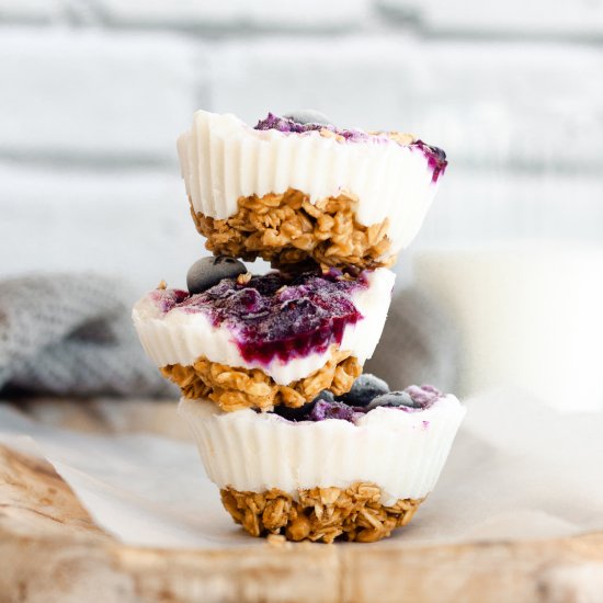 Frozen Blueberry Yogurt Granola