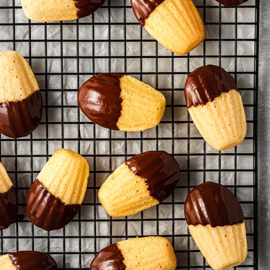 Chocolate Dipped Lemon Madeleines