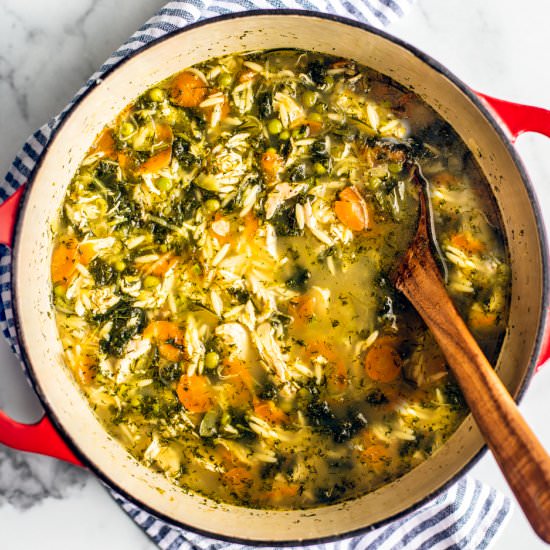 lemon orzo chicken soup + dill