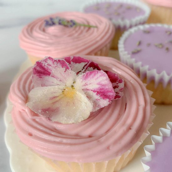 Sweet Lavender Cupcakes