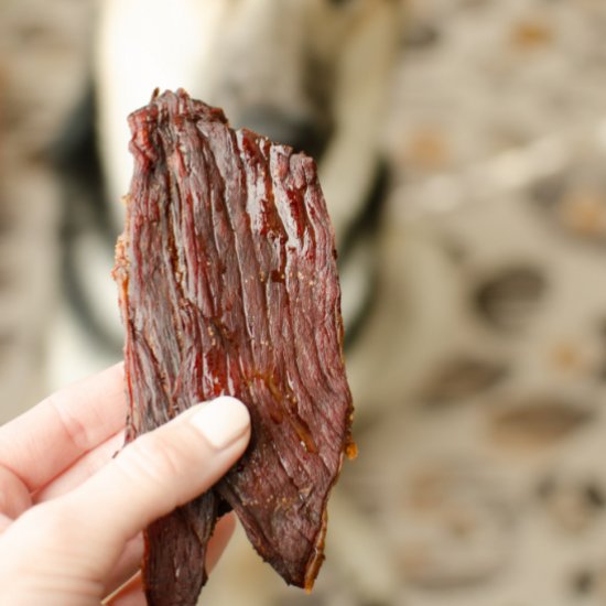 Beef Jerky for Dogs