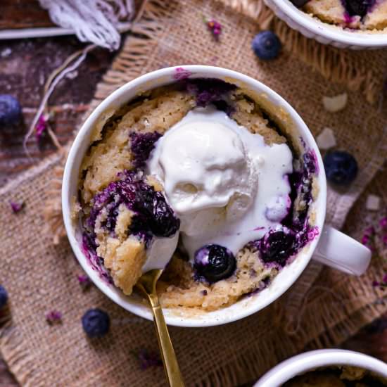 5 Min Vegan Blueberry Mug Cake