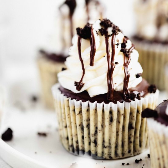 Mini Oreo Cheesecakes