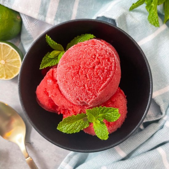 Berry Lime Sorbet