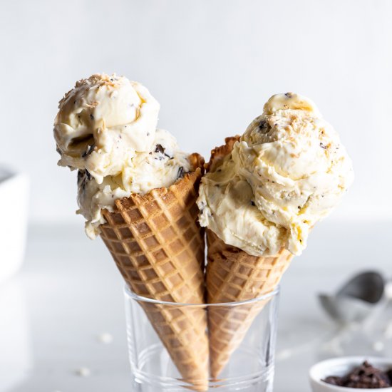 toasted coconut ice cream