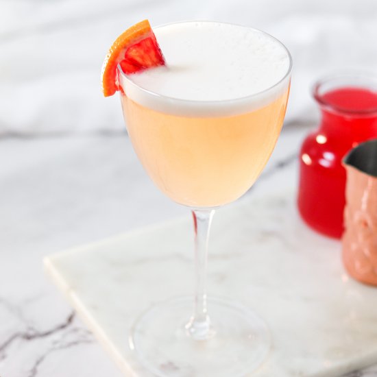 Blood Orange Gin Fizz Cocktail