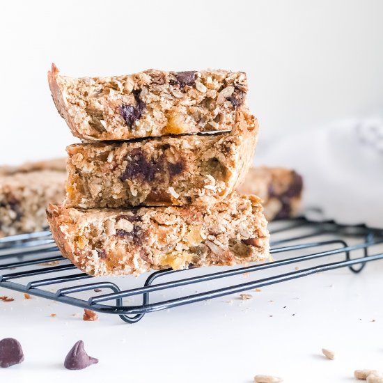 Nutty Protein Granola Bars