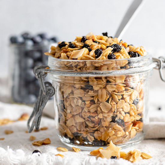 Homemade Blueberry Granola