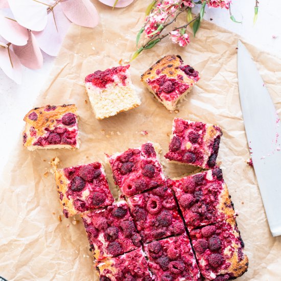 Gluten-free Coconut Raspberry Cake