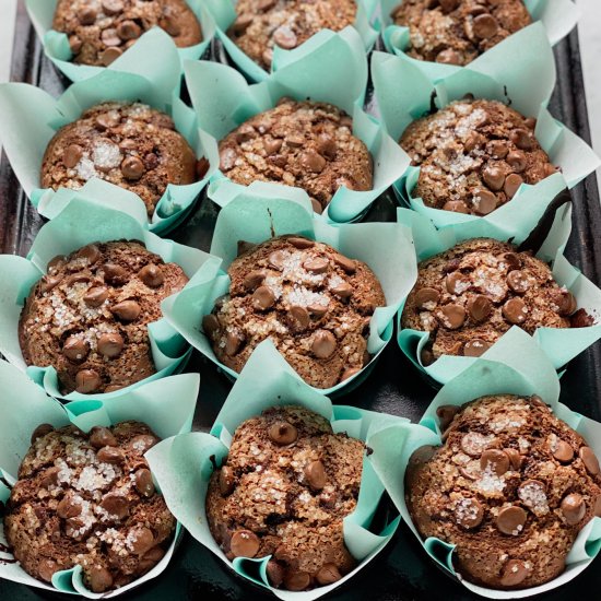 Chocolate Muffins