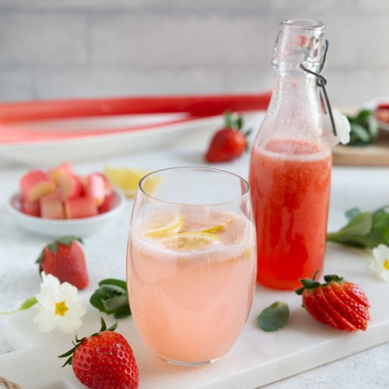 Strawberry Rhubarb Sirup