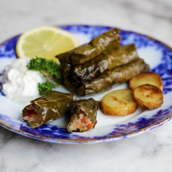 Dawali – Vegan Stuffed Grape Leaves