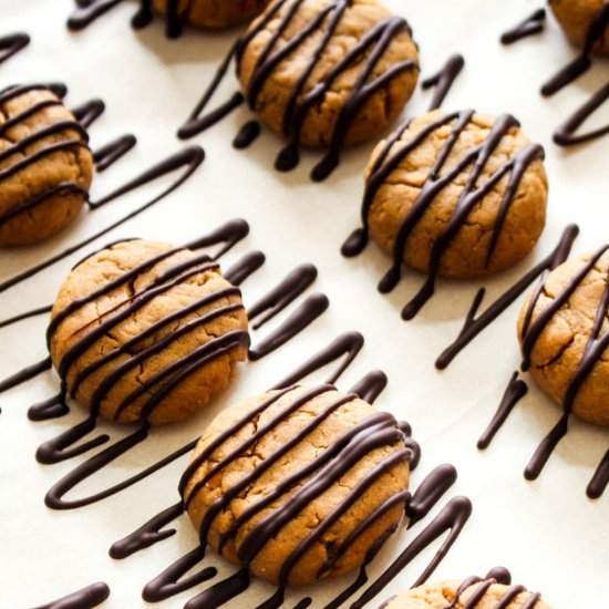 Peanut Butter Protein Cookies