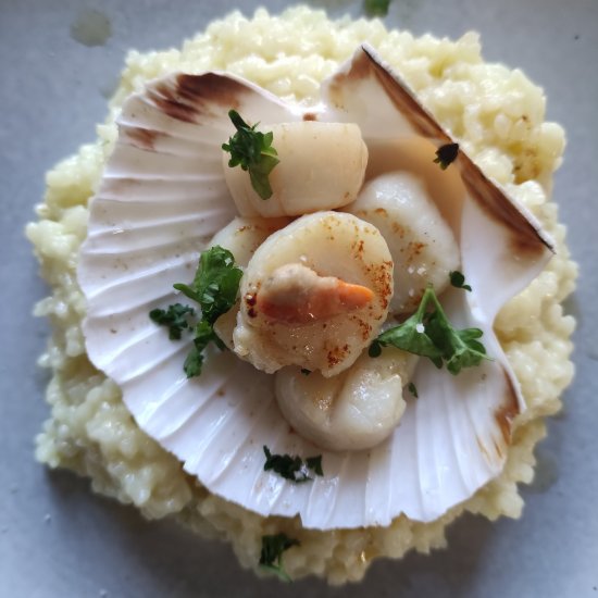 Easy Seared Scallops