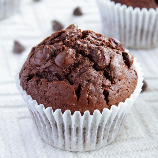 Double Chocolate Muffins