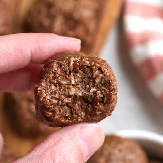 Paleo Chocolate Coconut Bi