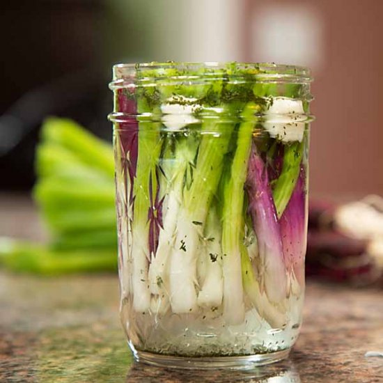 Quick Pickled Scallions