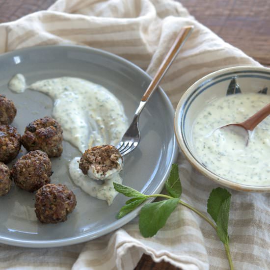 Middle Eastern Meatballs