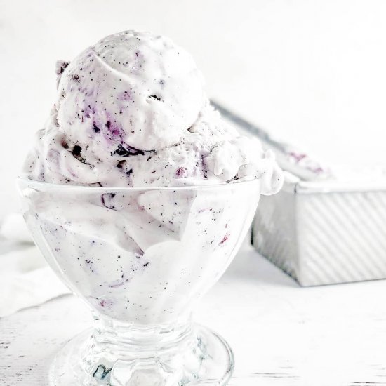 Blueberry Vanilla Bean Ice Cream