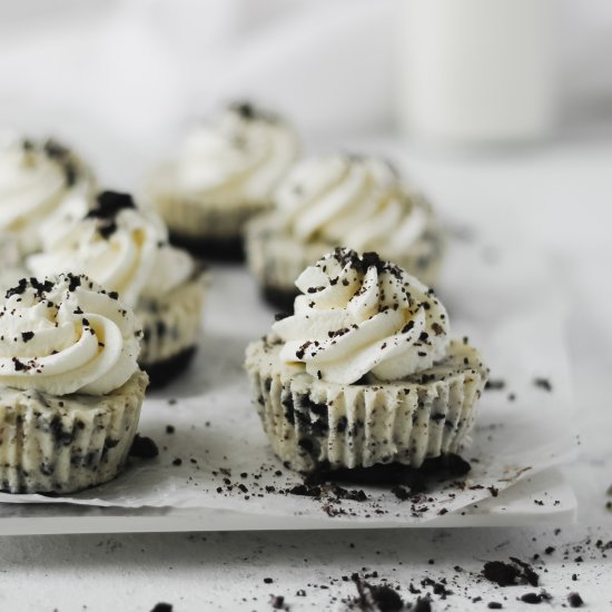 Mini Oreo Cheesecakes