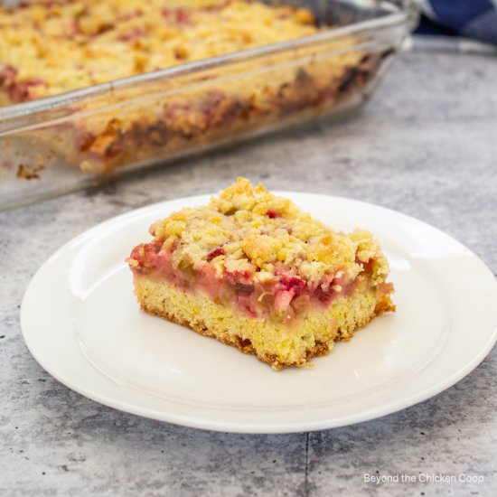 Rhubarb Crumb Bars